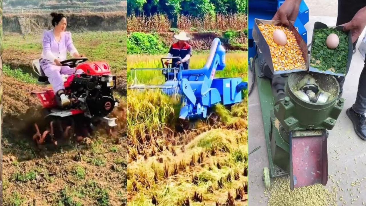 Adeus enxada: máquinas chinesas que colhem, plantam e fabricam ração chegam ao Brasil para revolucionar a vida do pequeno produtor