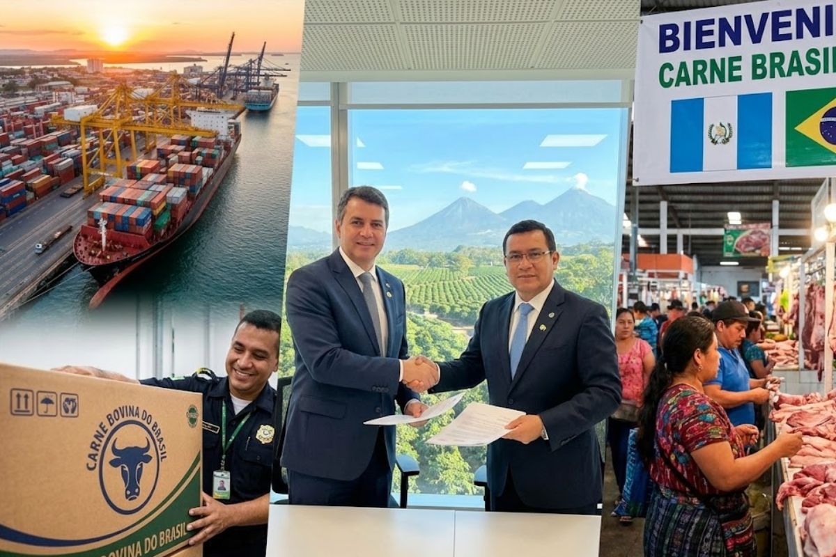 Brasil amplia exportação de carne para a Guatemala. A carne bovina fortalece o agronegócio brasileiro e o mercado internacional com novas oportunidades comerciais.