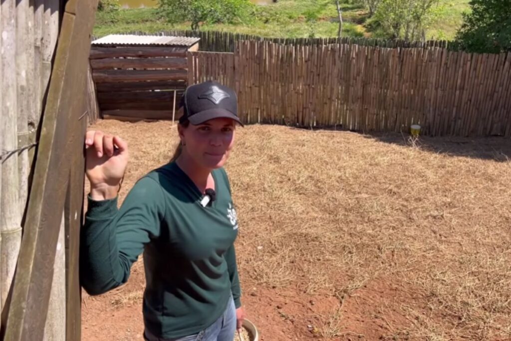 Reportagem mostra como viver em sítio alugado, tirar leite, vender ovos e domar a mula em um pequeno rancho tocado por duas mulheres, unindo trabalho pesado, renda própria e autonomia.