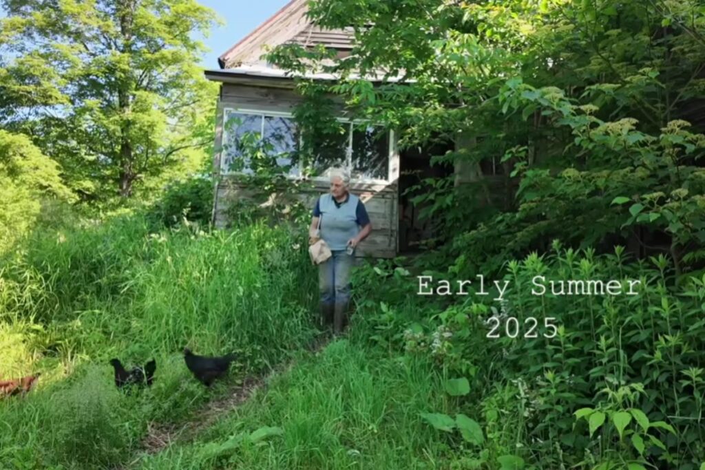 Fazendeira solitária de 70 anos mantém agricultura de 1850 em Vermont, usa cavalos de tração para abastecer 20 famílias e prova que pequenos sistemas ainda podem alimentar comunidades inteiras.