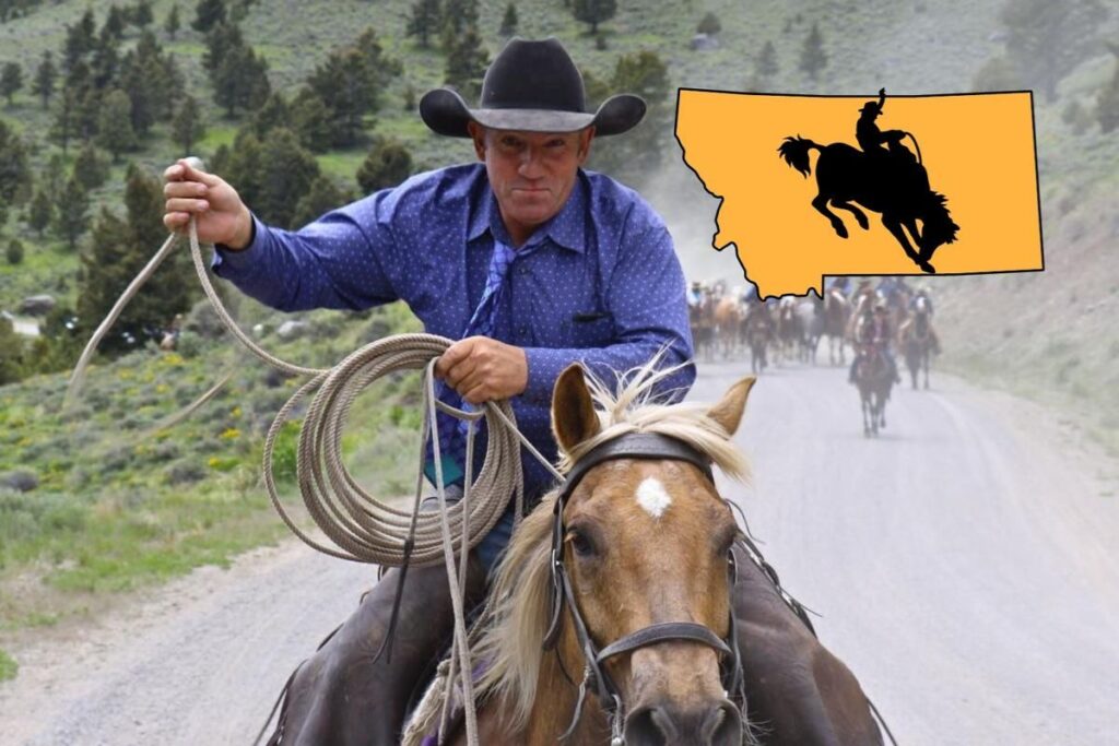 Cowboys de Montana vivem vida de cowboy em rancho em Montana, cruzam Parque Nacional de Yellowstone e encaram o trabalho mais difícil da América pela liberdade.