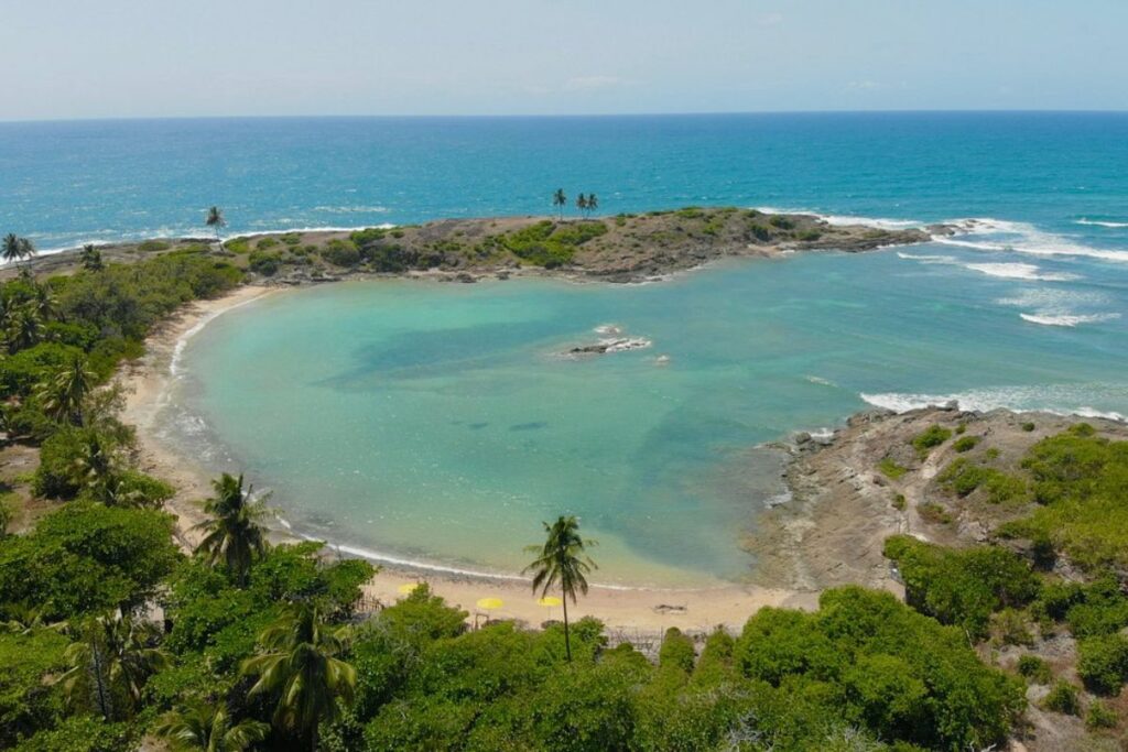 Na ilha paradisíaca de Santo Aleixo em Pernambuco, esquilos se multiplicam, atraem turistas, levantam alerta ambiental no litoral nordestino e expõem dilemas sobre espécies fora de lugar.