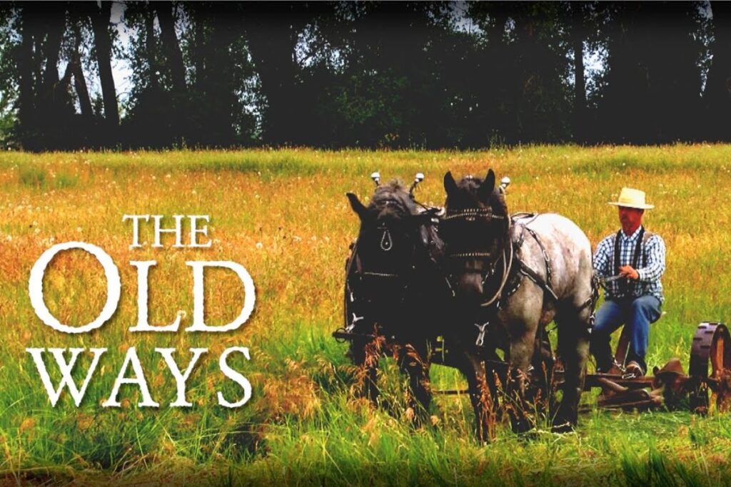 Reportagem mostra família americana no Vale de Teton usando cavalos de tração, feno solto e fazenda-escola para manter tradições vivas.