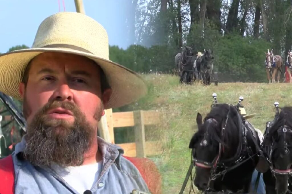 Reportagem mostra família americana no Vale de Teton usando cavalos de tração, feno solto e fazenda-escola para manter tradições vivas.