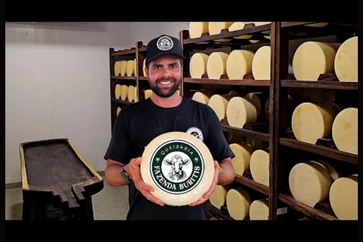 Fazenda mineira mostra queijos artesanais A2A2, caramelo Embaré e degustação guiada com sabores únicos que transformam o leite em arte gastronômica.