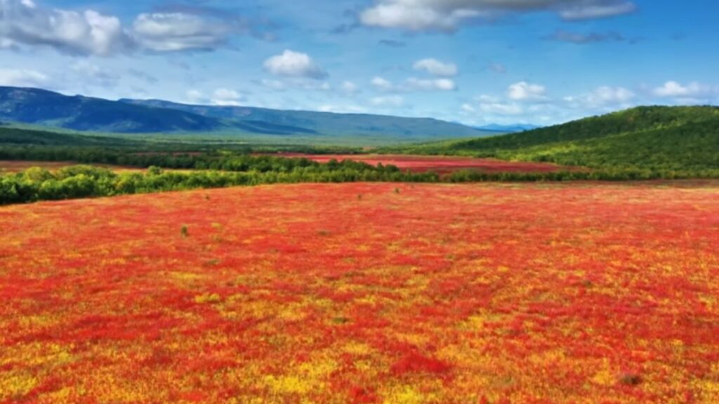 Descubra Kamchatka na Rússia: península de Kamchatka com vulcões da Rússia, vida selvagem abundante e paisagens extremas de fogo, gelo e isolamento.