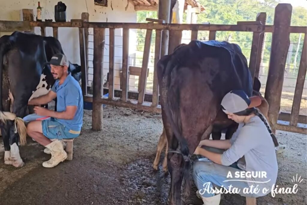 Reportagem mostra a rotina de pai e filha em fazenda com vacas leiteiras, peixes e mata fechada, destacando trabalho, fé e uma vida rural simples e feliz.