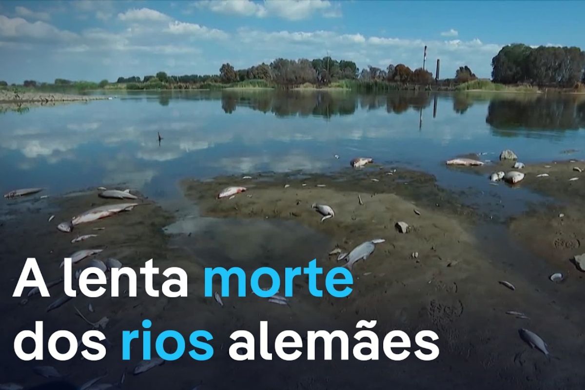Rios da Alemanha colapsam: salmoura tóxica do rio Verra desafia a União Europeia e expõe crise ambiental sem precedentes no país.