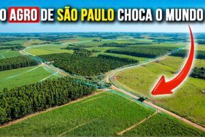 São Paulo investe mais de R$ 2 bilhões no agronegócio, transforma o campo em laboratório de tecnologia, turbina exportações, cria ciclo de riqueza no interior e reacende polêmica sobre regularização fundiária no Pontal do Paranapanema