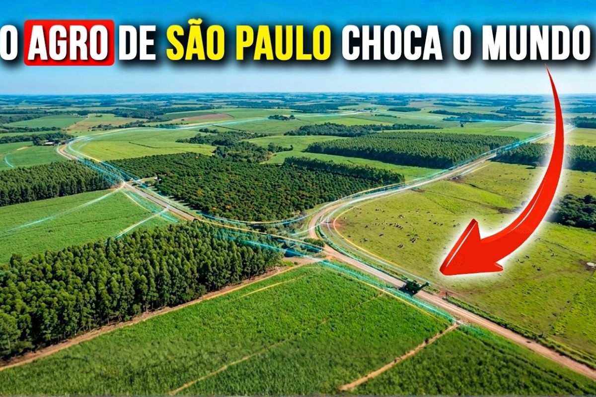 São Paulo injeta bilhões no agronegócio, amplia exportações, leva investimento ao interior, leva a disputa ao Pontal do Paranapanema e acirra o debate sobre regularização fundiária.