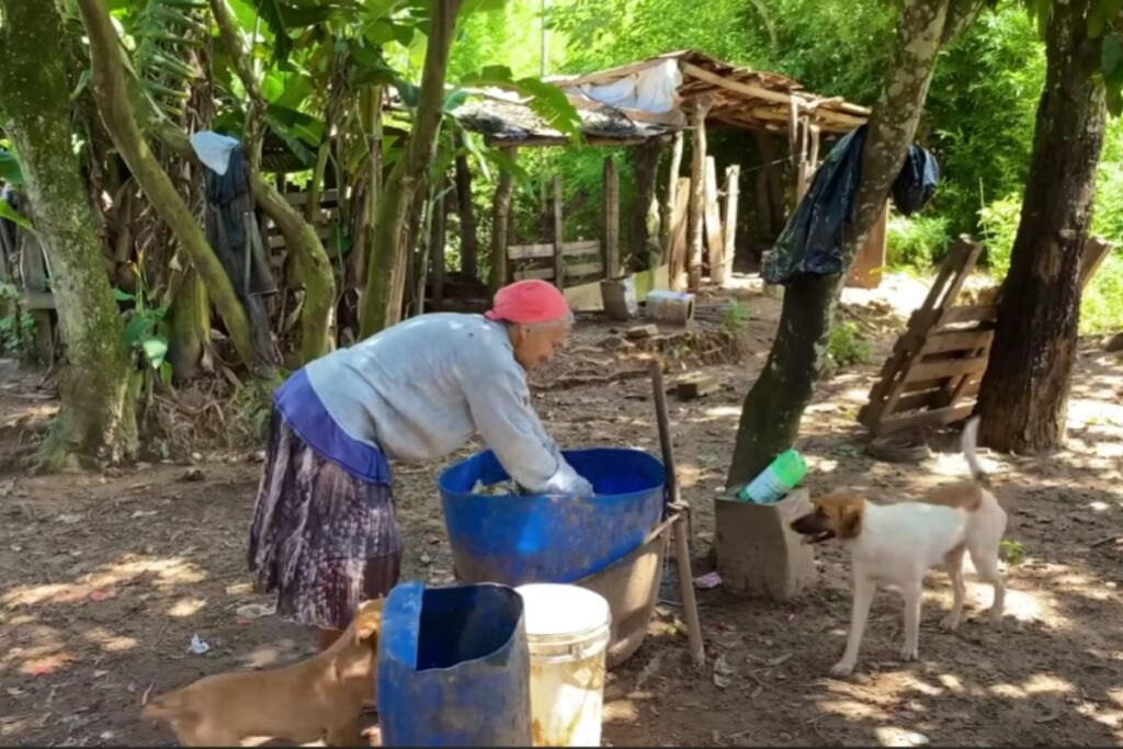 História de dona Cida que deixa a casa de lata na zona rural com ajuda de vaquinha online para conquistar sua casa própria e seguir cuidando dos animais.